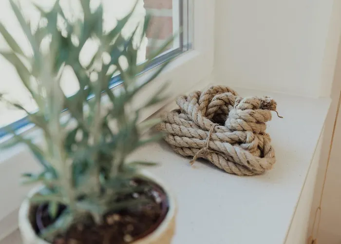 公寓 Kiebitz Erdgeschoss